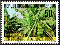 [Bertona Agricultural Research Station, type WL]