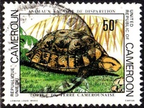 [Endangered Animals, type WV]