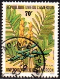 [Medicinal Plants, type XM]