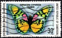 [Butterflies, Tipe UP]
