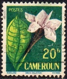 [Tropical Flora, type BU]