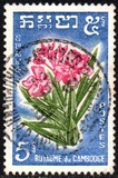 [Cambodian Flowers, Tip AJ]