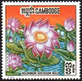 [Aquatic Plants, type EQ]