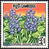 [Aquatic Plants, type ER]