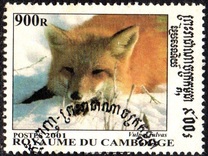 [Wolves and Foxes, סוג CAK]