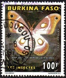 [Insects, տեսակ PB]