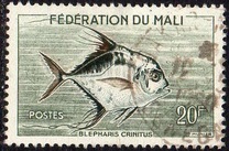 [Fish, тип I]