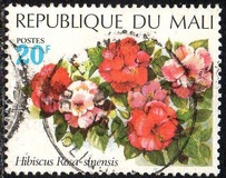 [Flowers, type IN]
