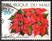 [Flowers, type IO]