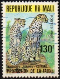 [Protected Animals, type YQ]