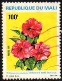 [Flowers, type ACD]
