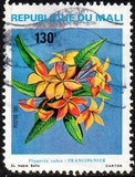 [Flowers, type ACF]