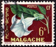 [Flowers, type JV]
