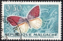 [Butterflies and Agricultural Products, tipas KA]