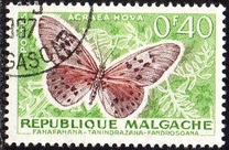 [Butterflies and Agricultural Products, tipas KB]