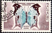 [Butterflies and Agricultural Products, tipas KC]