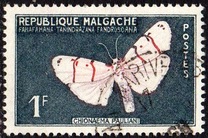 [Butterflies and Agricultural Products, tipas KD]