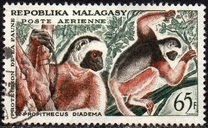 [Airmail - Protection of Wildlife - Lemurs, type KZ]