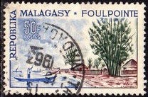 [Local Motives, type LI]