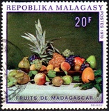 [Fruits of Madagascar, प्रकार QM]