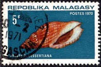 [Marine Snail Housing, प्रकार QN]