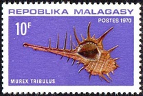 [Marine Snail Housing, प्रकार QO]