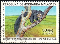 [Monkeys, Вид ABU]