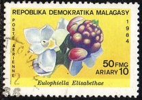 [Airmail - Flowers, Вид ADJ]