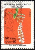 [Flowers and Butterflies, Вид AEP]