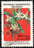 [Flowers and Butterflies, Вид AER]