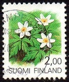 [Plants, 类型 AEP]