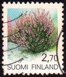 [Plants, 类型 AEQ]