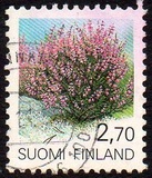 [Plants, 类型 AEQ]