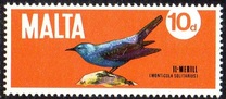 [Flora and Fauna, տեսակ HQ1]
