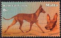 [Dogs, type AKA]