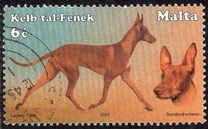 [Dogs, type AKA]