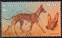 [Dogs, type AKA]