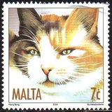 [Cats, Tip AOO]