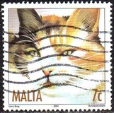[Cats, Tip AOO]