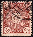 [Chrysanthemum, Typ AL1]