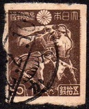 [Local Motifs, Tipi FZ]