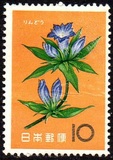 [Japanese Flowers, type AJG]