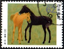 [The Horse in Culture, type CDY]