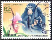 [The 8th Conference of Parties to Convention on International Trade in Endangered Species, Kyoto City, type CIT]