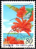 [Kyushu-Okinawa Summit, type DQO]