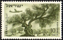 [Air, වර්ගය BU]