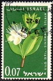 [The 13th Anniversary of Independence. Flowers, 类型 HI]