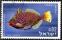 [Peces del mar rojo., tipo JJ]