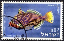 [Peces del mar rojo., tipo JJ]