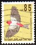 [Songbirds, type AUM]